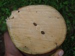 die Ringe sind unregelmäßig und eher dünn, der äussere Bereich sieht nicht so schlecht aus - wenig Frühholz...