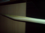 DSC00579_2.JPG