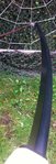 image-552.jpeg