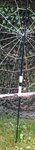 image-555.jpeg
