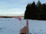 Der Ausreisser 190m am Waldrand
