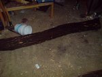 DSC04934.JPG