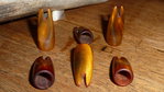 Nocken aus Rinderhorn grob in Form gebracht - werden noch "sexy"
