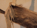 Badger_plains style_3_FC.JPG