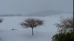 snowland 001.JPG (1002.74 KiB) 2341 mal betrachtet Dienstag, 04.12.2012, 11.00 Uhr ... Schneeeeeeee !