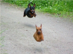 Aufzeichnen3.JPG
