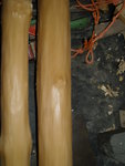 DSCI0022.JPG