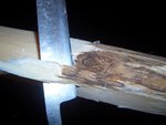 Holz an Ästen abheben