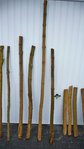 Schöner gerader Holler mit 2,20m