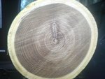 DSC05130 - Kopie.JPG