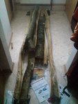 DSC05131 - Kopie.JPG