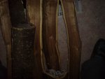 DSC05136.JPG