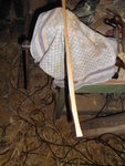DSCI0419.JPG