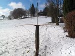 ungespannt