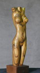 torso.essigbaum1.2013.JPG