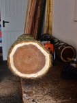 Holzzeit 2013-02-10 002.JPG (257.21 KiB) 4469 mal betrachtet Schönes Holz - mal sehen was die Dichte sagt