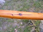 Totast mit Epoxy und Lila