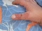 DSCF4876.JPG (127.71 KiB) 3738 mal betrachtet Nochmal die direkte Draufsicht<br />ohne Markierungen...