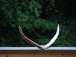 18,5cm liegt der Griff nicht aufgespannt hinter den Recurves.