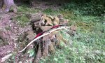 2013-06-30 16.51.28.jpg
