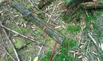 2013-06-30 15.34.04.jpg