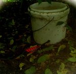 aDSC_0130_796x768.jpg (72.36 KiB) 2892 mal betrachtet weil Pfeile suchen müssen aber auch doof ist, trifft Morten halt lieber alles mit dem ersten Schuß