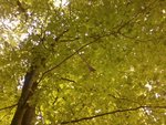 2013-08-04 19.41.53.jpg