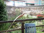PIC00884.jpg