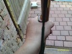 IMAG0064.jpg