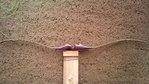 DSC00056.jpg
