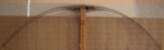 DSCN4171 (1024x767).gif