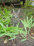DSC07248.jpg