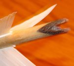 Pfeilnockreparatur 9.jpg