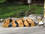 endlich wieder Zuhause in der Sonne...