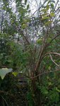 2013-11-10 10.40.17.jpg