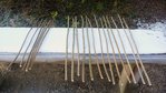 Schneeball-Schösslinge grob sortiert nach Stärke