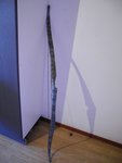 DSCN0480.jpg