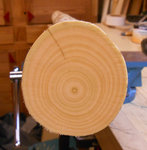 Haselquerschnitt.jpg (244.81 KiB) 12520 mal betrachtet Hasel-Querschnitt