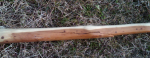IMG00028-20100403-1700.jpg