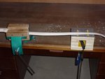P1050134-1.jpg