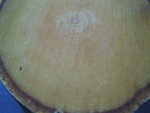 Holzstruktur