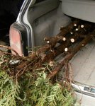 Und dann sprangen die alle in mein Auto...