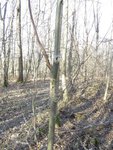 Im Habitat