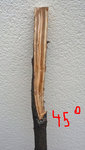 Drehwuchs.jpg