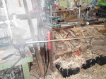 DSCI3957.JPG