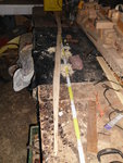 DSCI3984.JPG