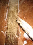 1.Backingstreifen und Hanfbacking dünn mit Leim eingepinselt<br />2.noch etwas dicken Leim aufs Backing