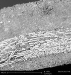Querschnitt durch einen Carbonpfeil, 400-fach