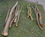 Holz.jpg