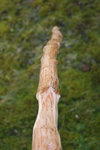 Wurfarm oben